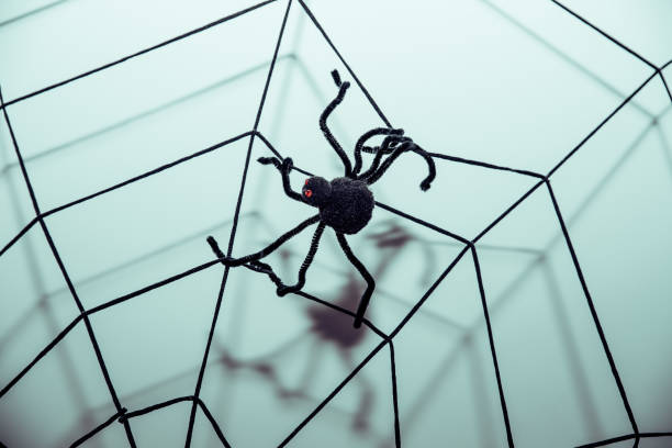 Halloween Symbols Web and Black Spiders on Wooden Background web de símbolos de halloween y negro spiders.toned image.pretty miedo aterrador tela de araña para fiesta de halloween. decoración de halloween con araña grande en la web. fiestas tarjeta de felicitación, carteles, diseño de banner. tela de araña