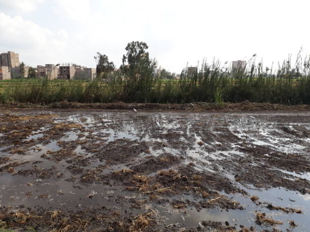 istock Irrigation canal and cultivated- implanted field 1030701820