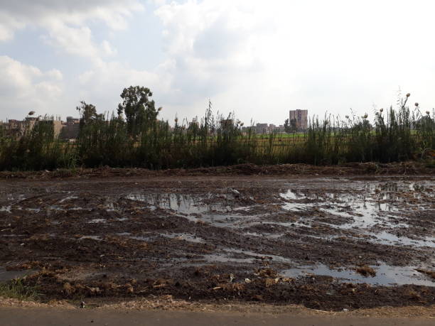 istock Irrigation canal and cultivated- implanted field 1030701860