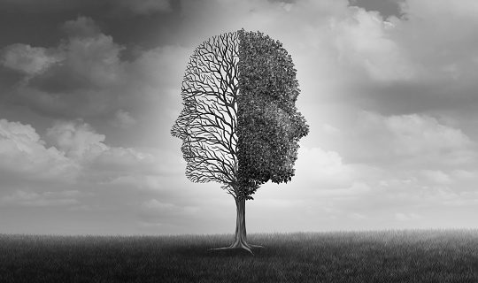 Emotional disorder and human emotion or mood problem as a tree shaped as two human faces with one half empty branches and the opposite side full of leaves as a medical metaphor for psychological with 3D elements.