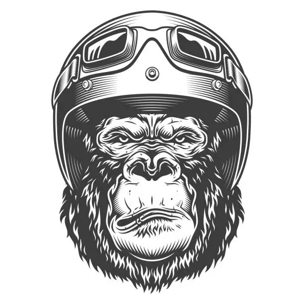 Vector illustration of Serious gorilla in monochrome style