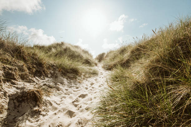 Coast Landscape Island of Amrum, Schleswig-Holstein, Germany
