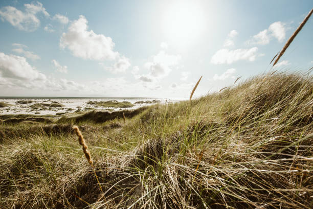 istock Coast Landscape Island of Amrum 1030744170