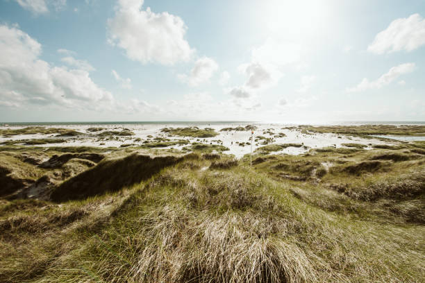 побережье пейзаж остров амрум - amrum summer spring island стоковые фото и изображения