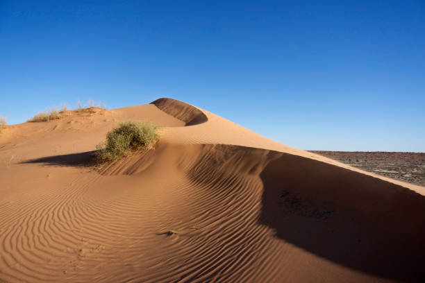 istock Big Red famous Australian sand dune 1030752562