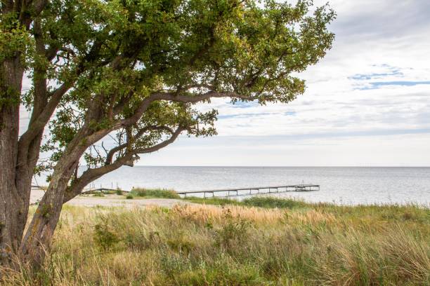 istock Walk on the Baltic Sea 1030752742