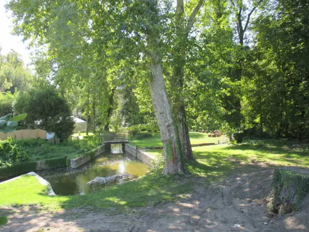 Public park  Wooden gangway Plane trees   Ponds in Chantilly in Oise France  " étangs de la Reine blanche "
