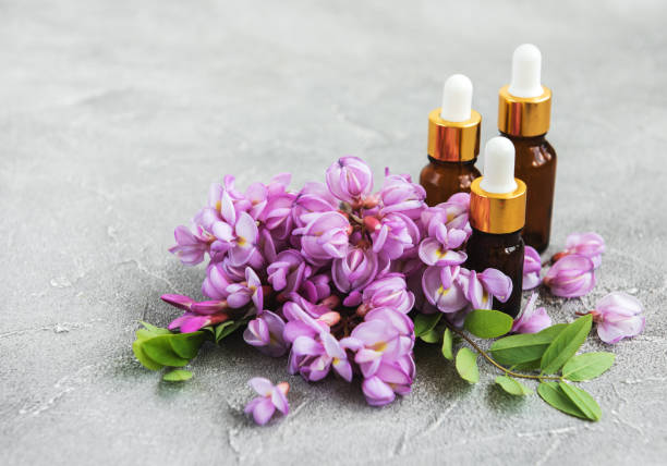 istock Essential oils and pink acacia flowers 1030755342
