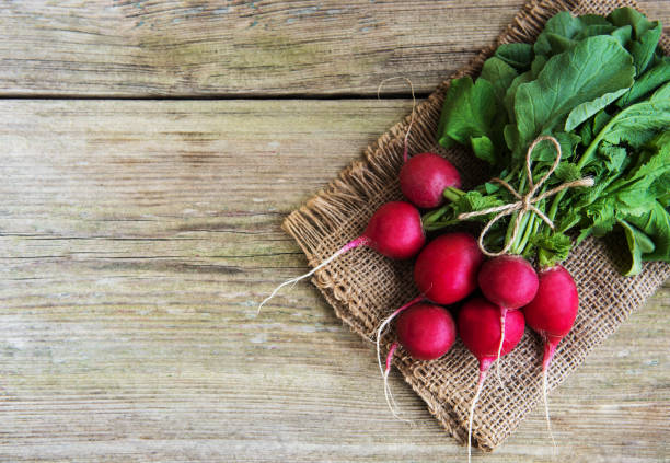 istock Fresh purple radish 1030755382