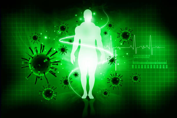 人体とウイルス - 免疫系 ストックフォトと画像