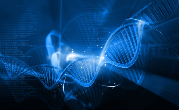istock Digital illustration of DNA molecules 1030756316