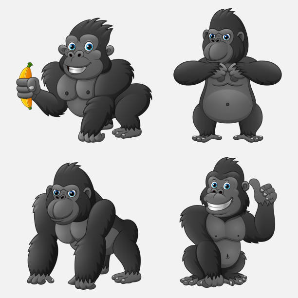 kuvapankkikuvitukset aiheesta joukko gorilla-sarjakuvaa, jossa on erilaisia asentoja ja ilmeitä - gorilla