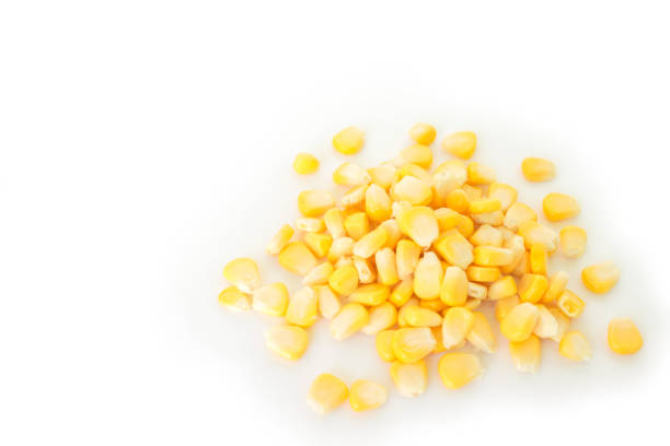 istock corn pile organic food nature background 1030767048