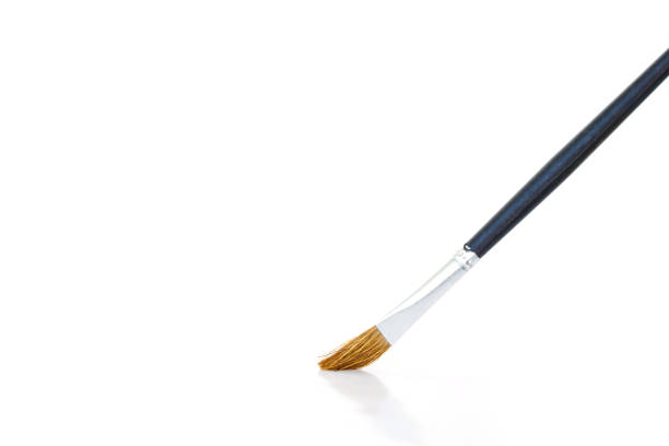istock paint brush set tool art  on white background 1030767266