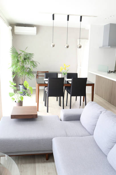 istock Living in a newly built house 1030769540