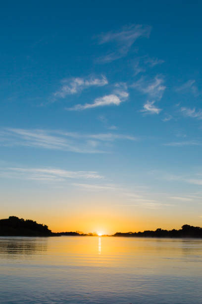wschód słońca nad rzeką w brazylii pantanal - flowing water ripple day plant zdjęcia i obrazy z banku zdjęć