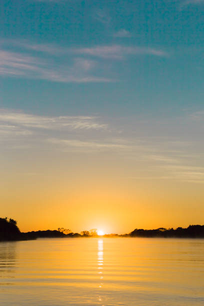 istock Sunrise over River in the Brasil Pantanal 1030770598