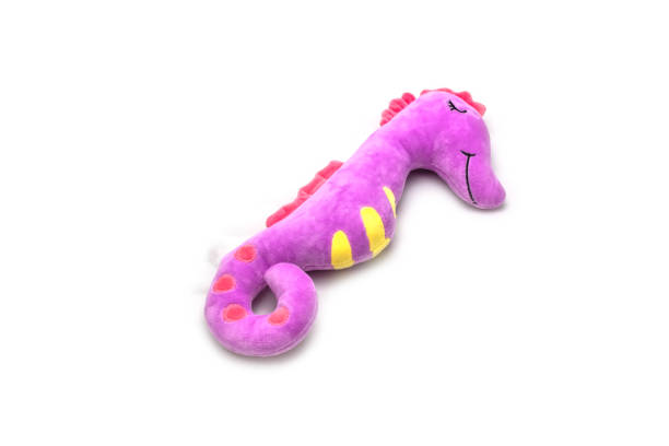 istock Purple Cute seahorse 1030773954
