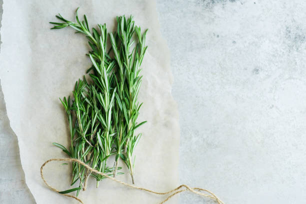 istock Flatlay with rosemary sprigs arranged on metallic background with text space 1030783144