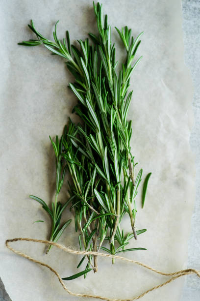 istock Flatlay with rosemary sprigs arranged on metallic background 1030783188