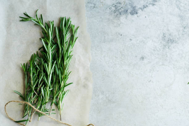 istock Flatlay with rosemary sprigs arranged on metallic background with text space 1030783194