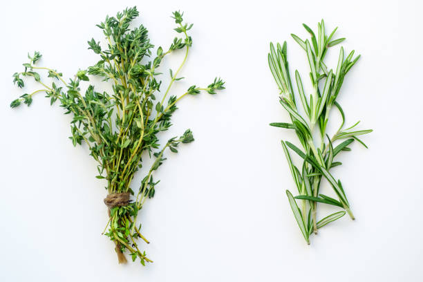 cachos de amarrado de tomilho e alecrim no fundo branco isolado - herb bouquet garni herbes de provence bouquet - fotografias e filmes do acervo