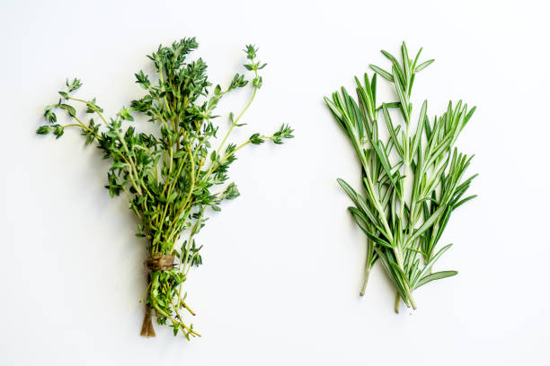 Bunches of tied thyme and rosemary on white background isolated Bunches of tied thyme and rosemary on white background isolated bundle photos stock pictures, royalty-free photos & images