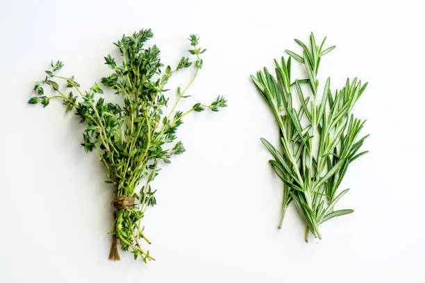 Photo of Bunches of tied thyme and rosemary on white background isolated