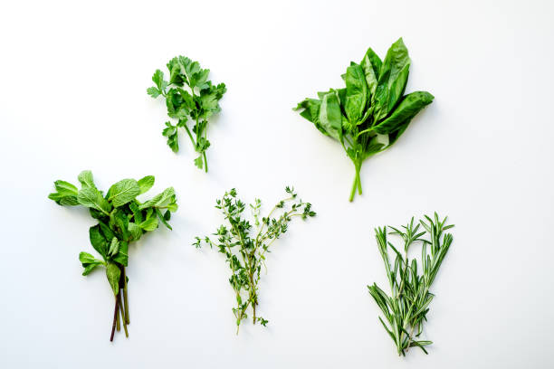 istock Fresh culinary herbs on white background: rosemary, thyme, mint, basil and parsley in small bunches 1030783224