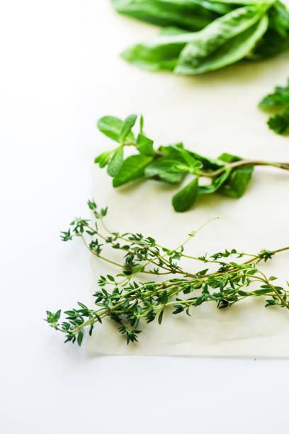 ervas aromáticas frescas em fundo neutro. vista lateral, foco seletivo - herb bouquet garni herbes de provence bouquet - fotografias e filmes do acervo