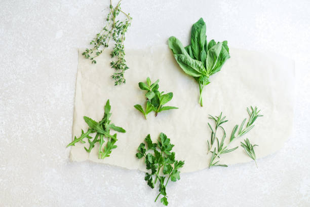 ervas aromáticas frescas sobre fundo branco: alecrim, tomilho, hortelã, rúcula, manjericão e salsa em pequenos cachos. - herb bouquet garni herbes de provence bouquet - fotografias e filmes do acervo