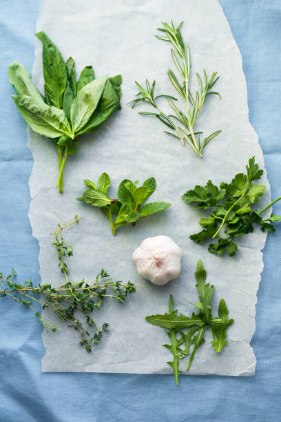 ervas aromáticas frescas sobre fundo de linho azul: alecrim, tomilho, hortelã, rúcula, manjericão e salsa em pequenos cachos com dente de alho - herb bouquet garni herbes de provence bouquet - fotografias e filmes do acervo