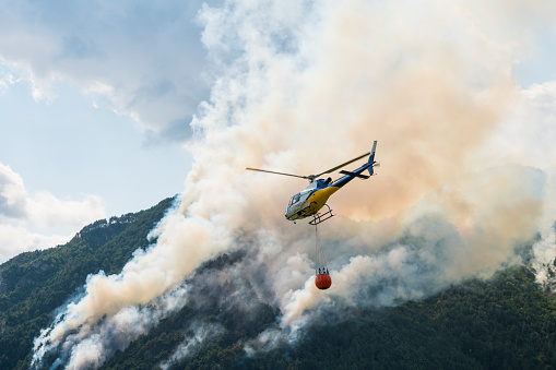 Aerial firefighting with helicopter on a big wildfire in a pine forest