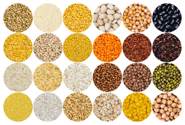 istock Collection of different cereals, grains, rice and beans backgrounds. 1030787610