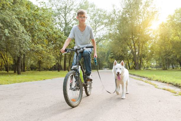 istock Boy with a white husky dog on bicycle in the park 1030788092