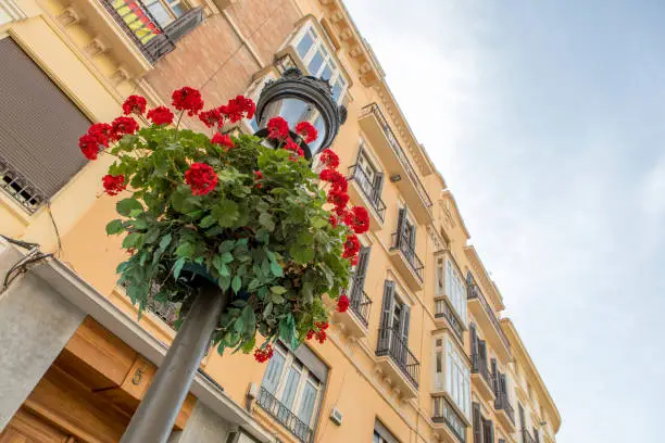 Photo of Detail of lamp post and floral ornament with classic architecture and building in the background, at Larios Street, Malaga, Spain.