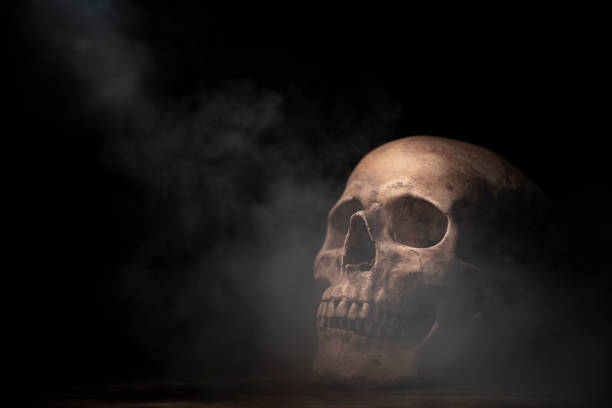 istock human skull in Halloween concept, vintage filter image 1030792546