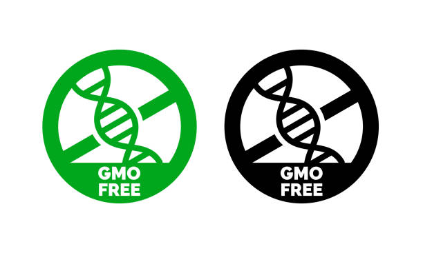 ilustrações de stock, clip art, desenhos animados e ícones de gmo free label with dna vector icon for non gmo product package or gmo free natural organic food design - non gmo