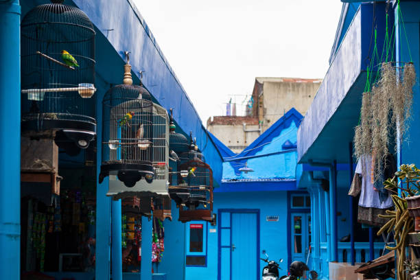 case blu con gabbie di uccelli canori nel villaggio kampung biru arema - arema foto e immagini stock