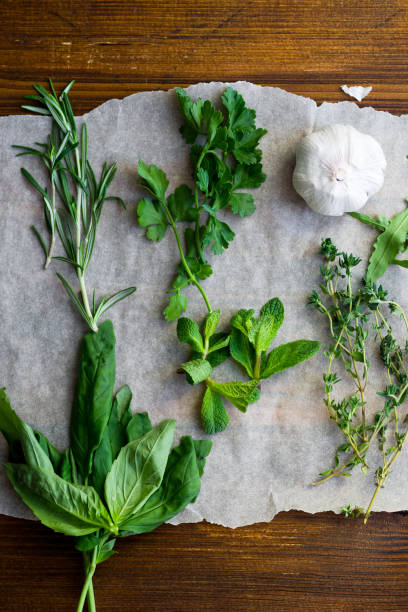 ervas aromáticas frescas sobre fundo de madeira: alecrim, tomilho, hortelã, rúcula, manjericão e salsa em pequenos cachos com dente de alho - herb bouquet garni herbes de provence bouquet - fotografias e filmes do acervo