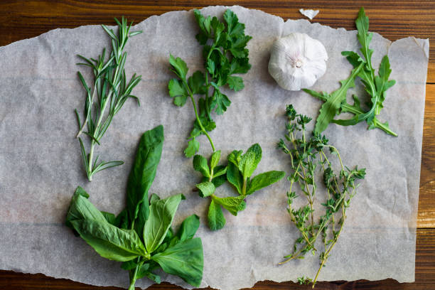 나무 배경에 신선한 요리 허브: 로즈마리, 타임, 민트, arugula, 바 질, 파 슬 리 작은 마늘 정 향과 한 움 큼 - herb bouquet garni herbes de provence bouquet 뉴스 사진 이미지