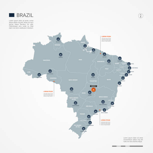 ilustrações, clipart, desenhos animados e ícones de ilustração em vetor mapa brasil infográfico. - brasil mapa