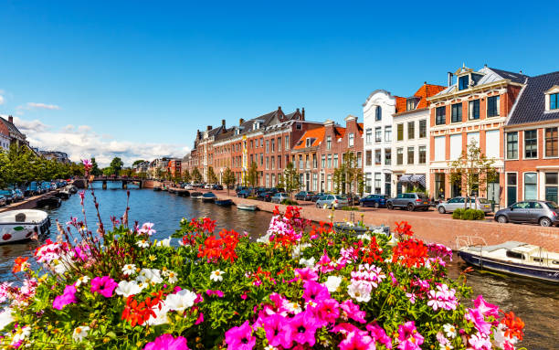 Old Town of Haarlem, Netherlands Scenic summer view of the Old Town architecture and Spaarne canal embankment in Haarlem, Netherlands embankment photos stock pictures, royalty-free photos & images