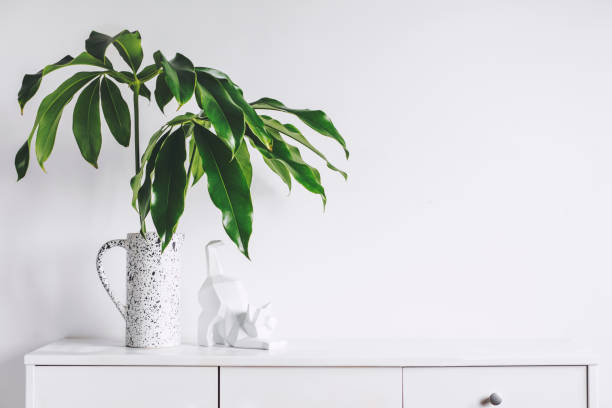 Minimalistic concept of white home interior whit copy space, tropical leaf and cat figures. Scandinavian white cupboard concept.