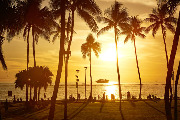istock Palm Tree Silhouette at Sunset, Hawaii, USA 1030841036