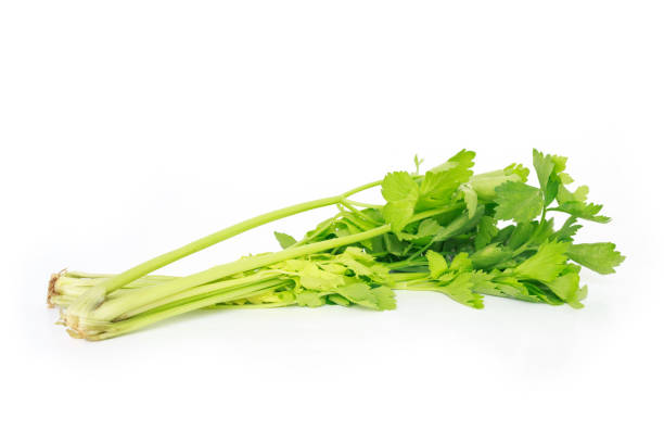 istock celery vegetable organic food healthy nature 1030841194