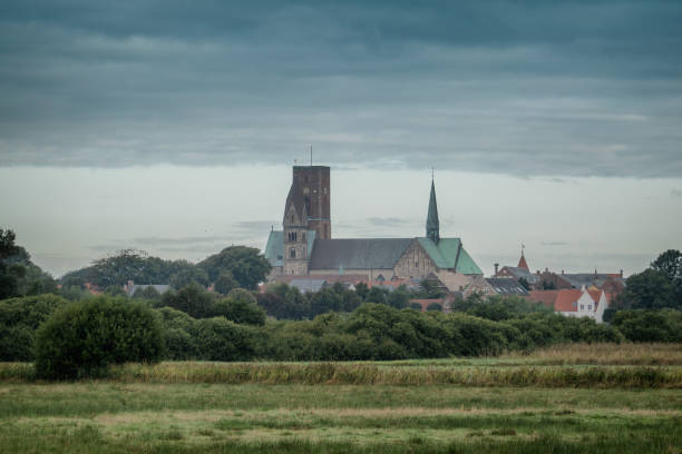 istock Ribe Cathedral seen from the marshes. Denmark 1030841258
