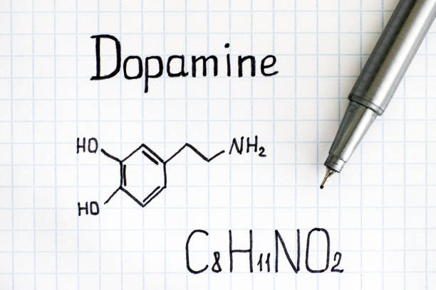 istock Chemical formula of Dopamine with pen. 1030846280