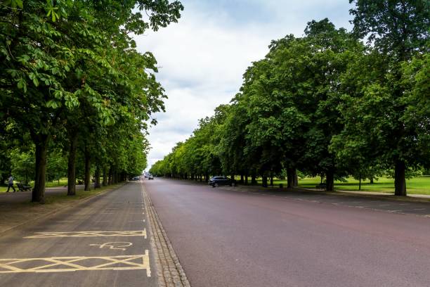 istock Wilderness( Deer park). Greenwich. London. UK 1030849662