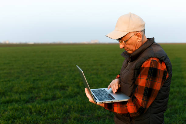 istock Senior farmer in filed examining young wheat corp. 1030868778